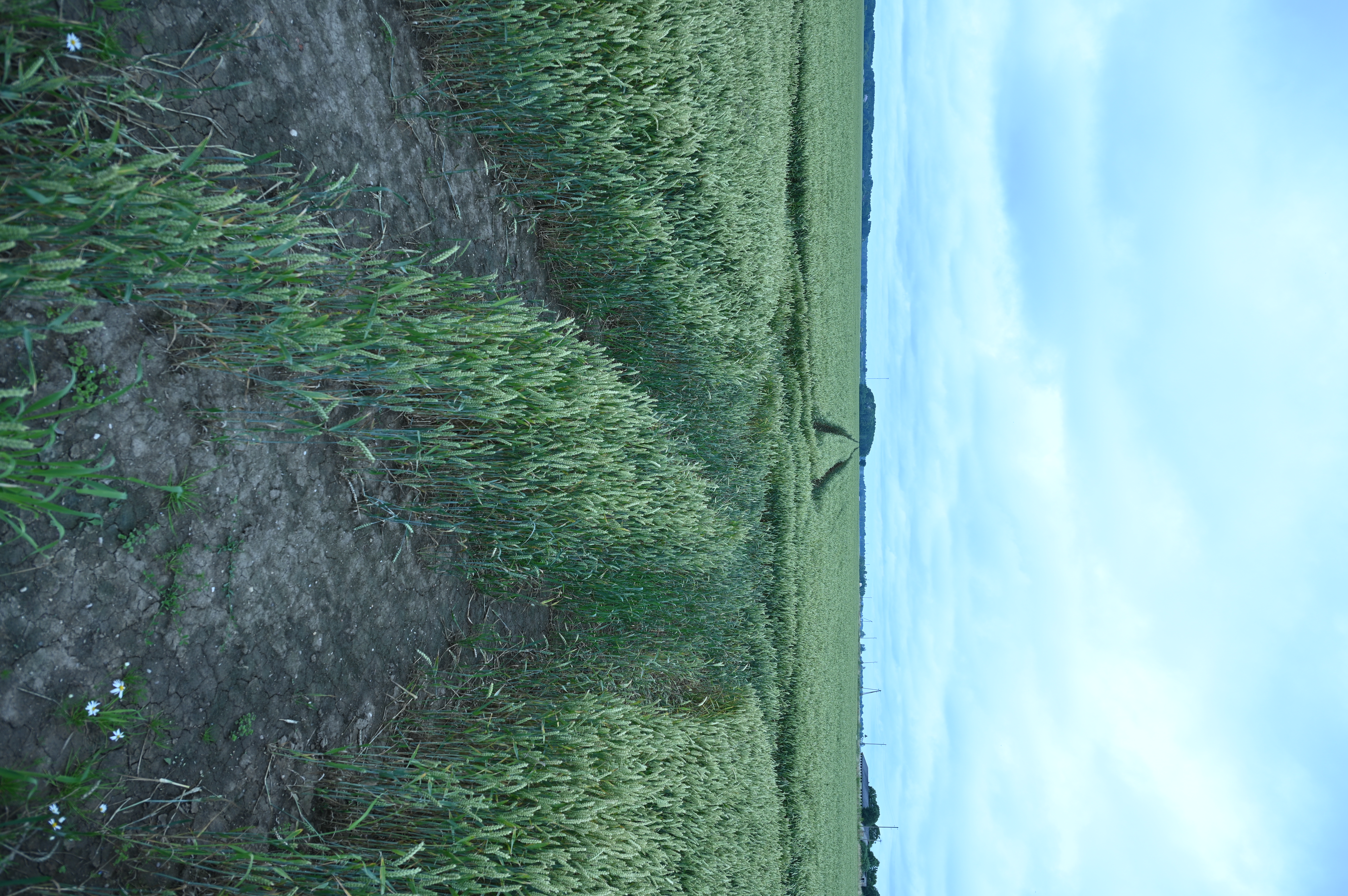 2025/07/09-14 - trip/DSC_0004.JPG